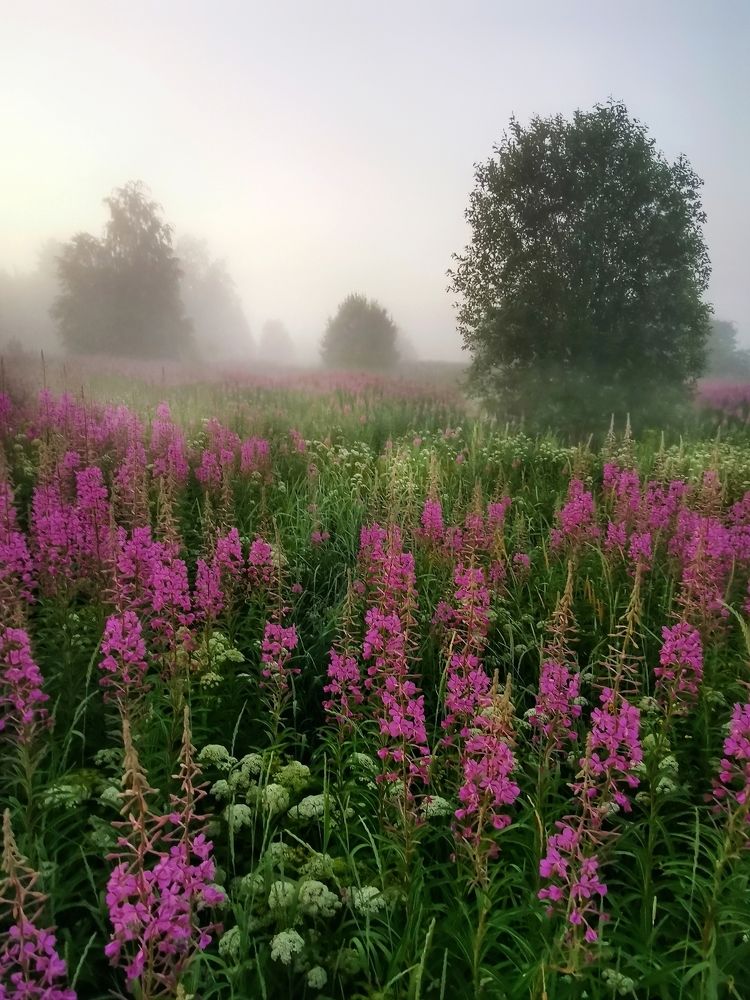Фотография автора Андрей Шестаков