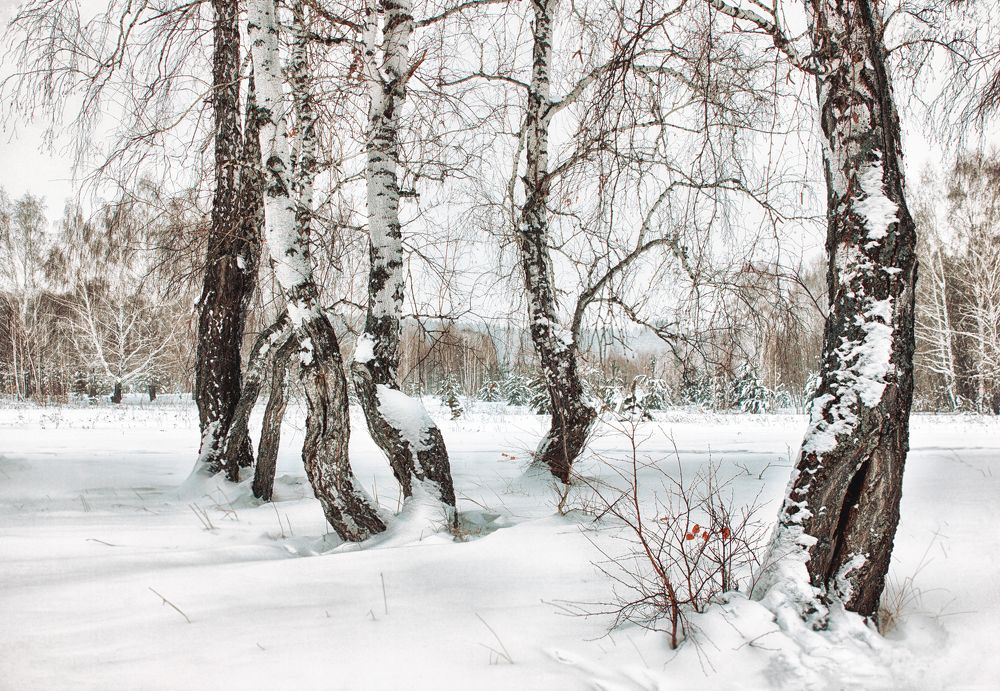 Photograph by Вера Лопатина