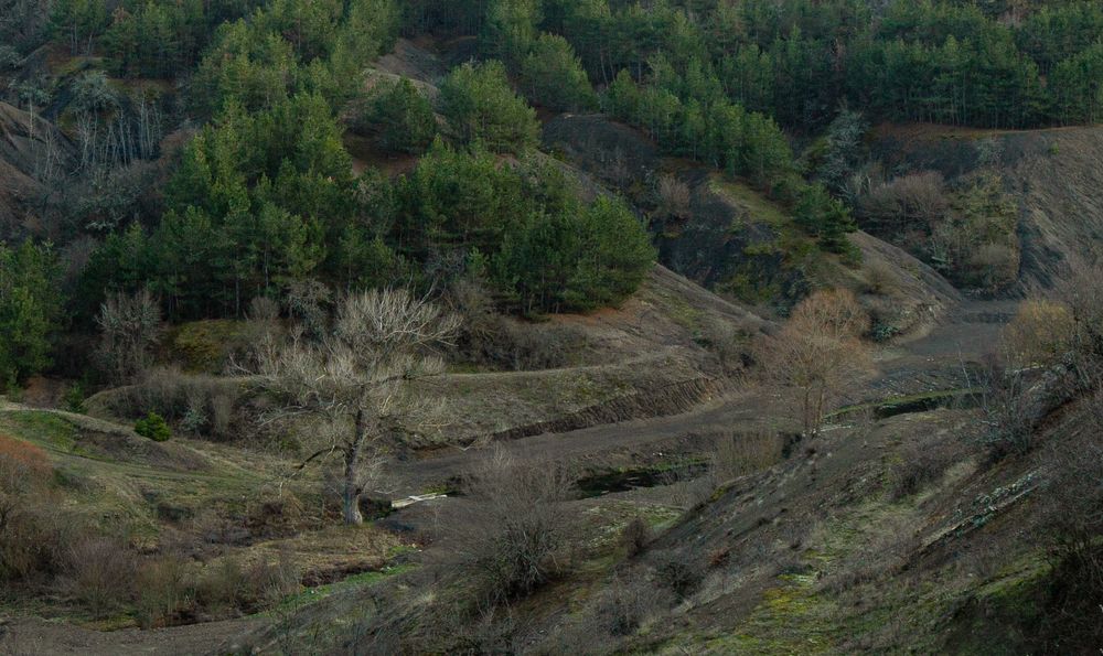 Photograph by Олег Ибрагимов