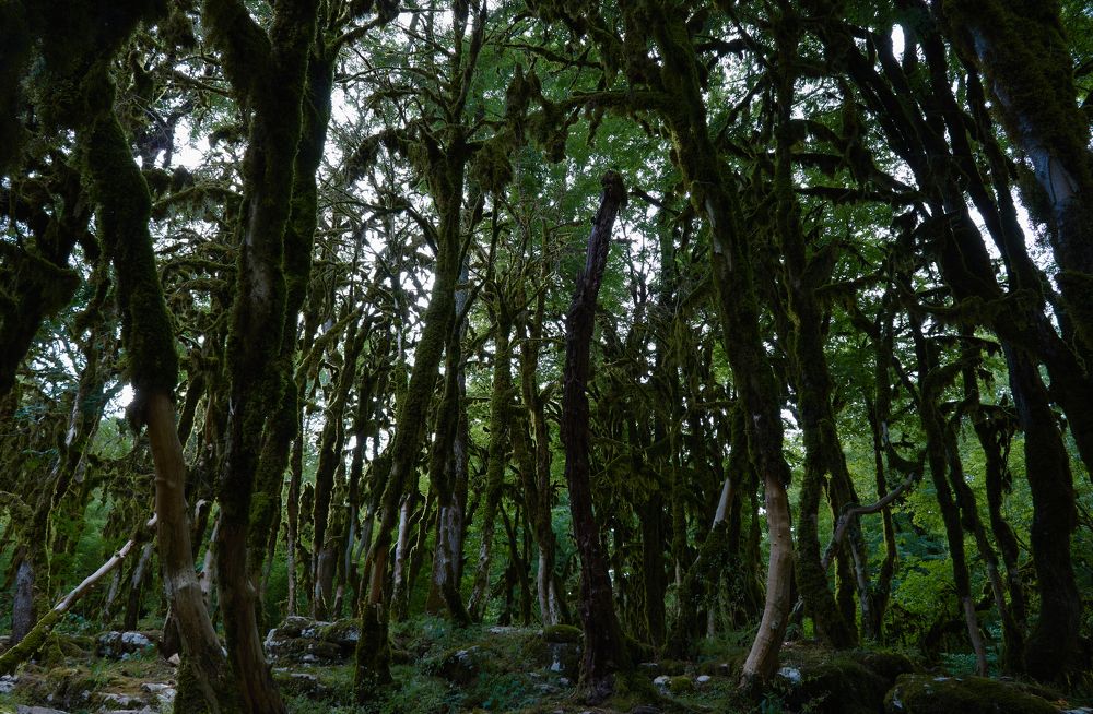 Photograph by Евгений Внуковский