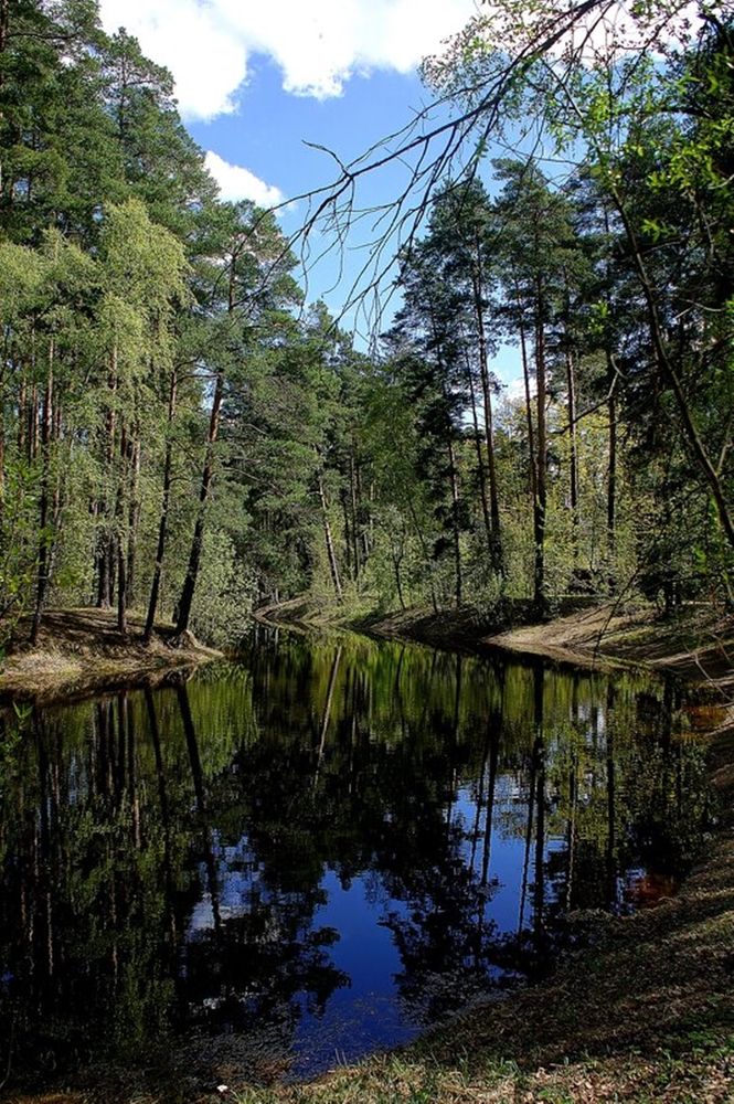 Photograph by Леонид Шнейдерман