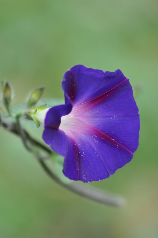 Photograph by Гульназ Арсланова