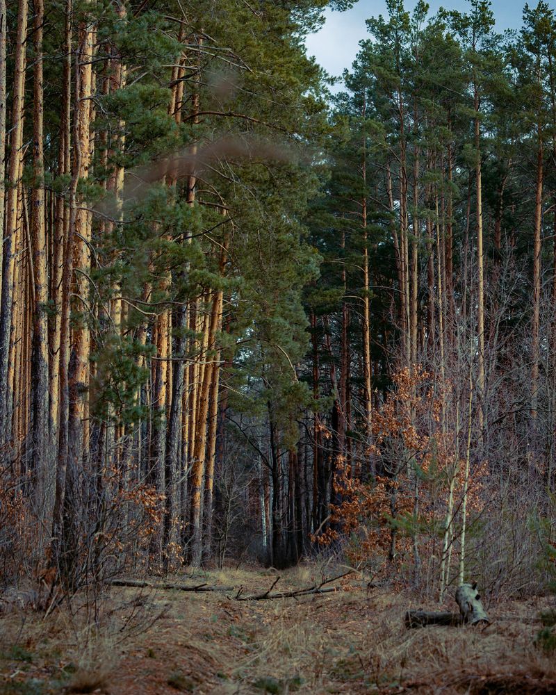 Photograph by Siarhei Saladukhin