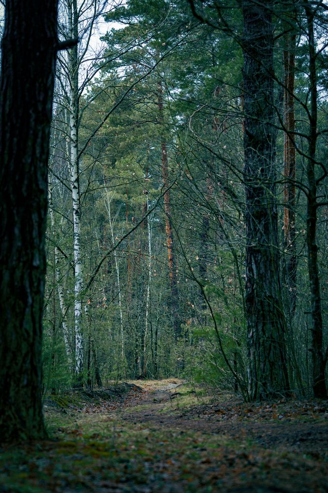 Photograph by Siarhei Saladukhin