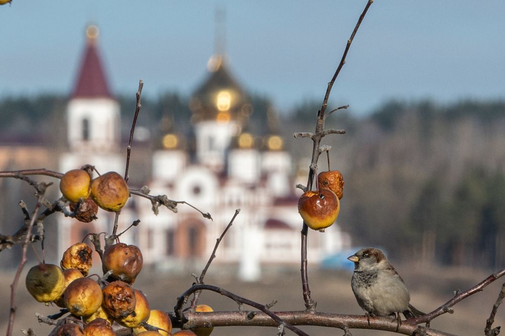 Photograph by Андрей Бородкин