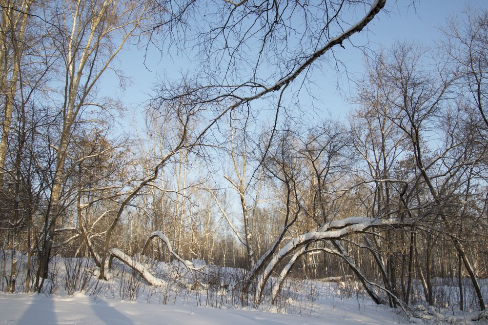 Photograph by Валентина Лопаткина