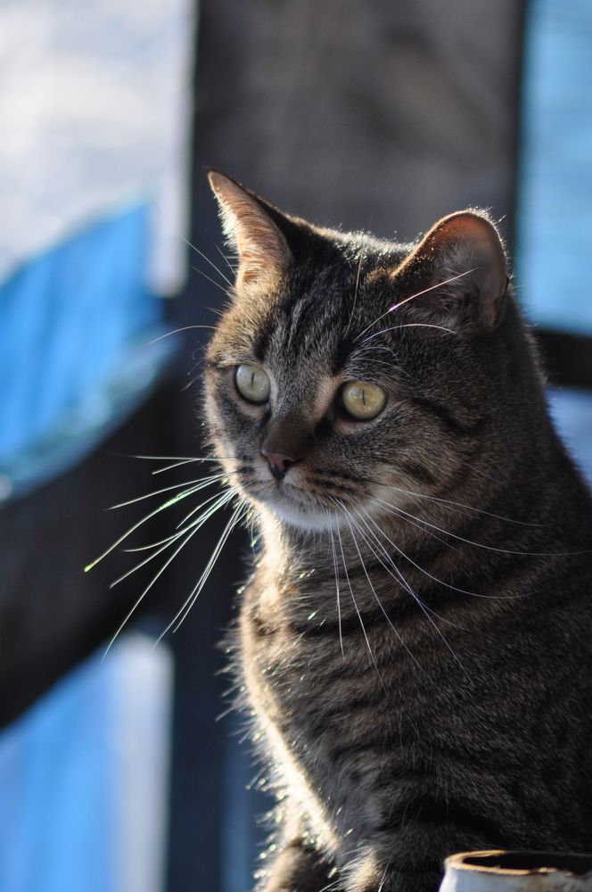 Photograph by Гульназ Арсланова