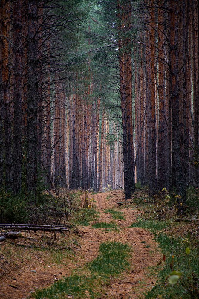 Photograph by Людмила Баймухаметова