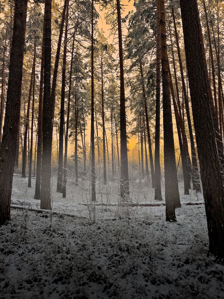 Photograph by Konstantin Martynov