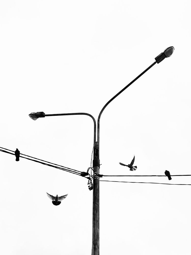 Photograph by Андрей Васильев