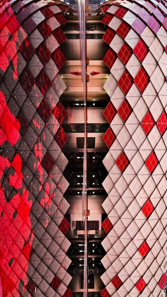 Photograph by ANASTASIYA NIKOLSKAYA