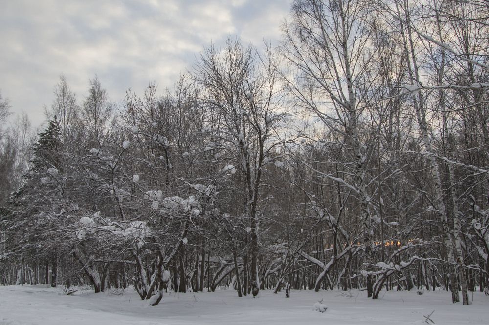 Photograph by Валентина Лопаткина