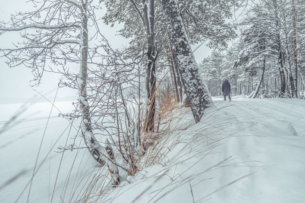 Photograph by Александра Щирова