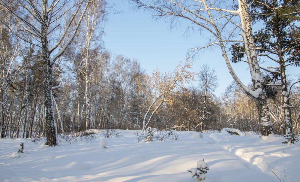 Photograph by Валентина Лопаткина