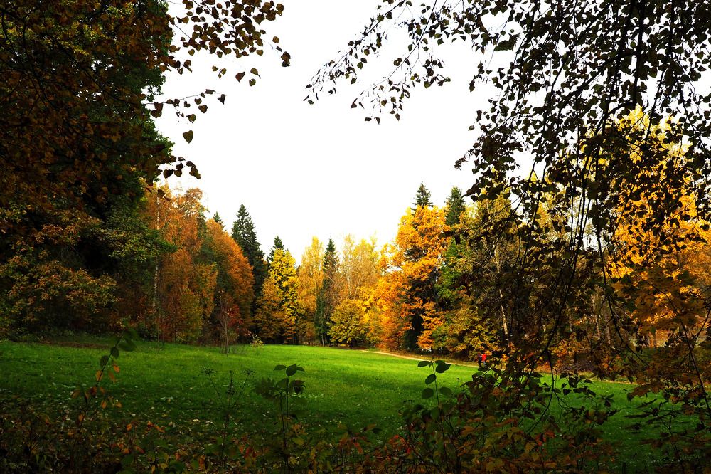 Photograph by Михаил Малец