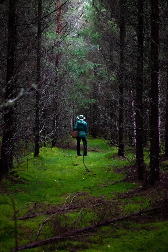 Фотография автора Ananev Aleksandr