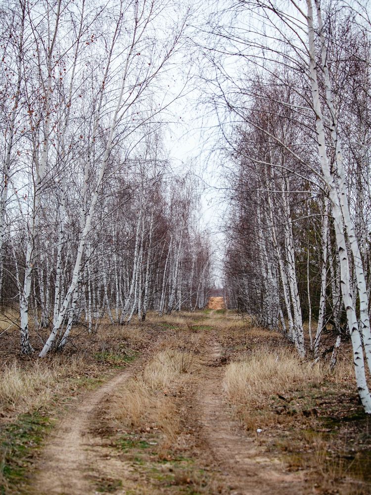 Фотография автора Елена Чиликина