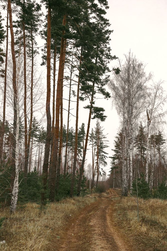 Фотография автора Елена Чиликина