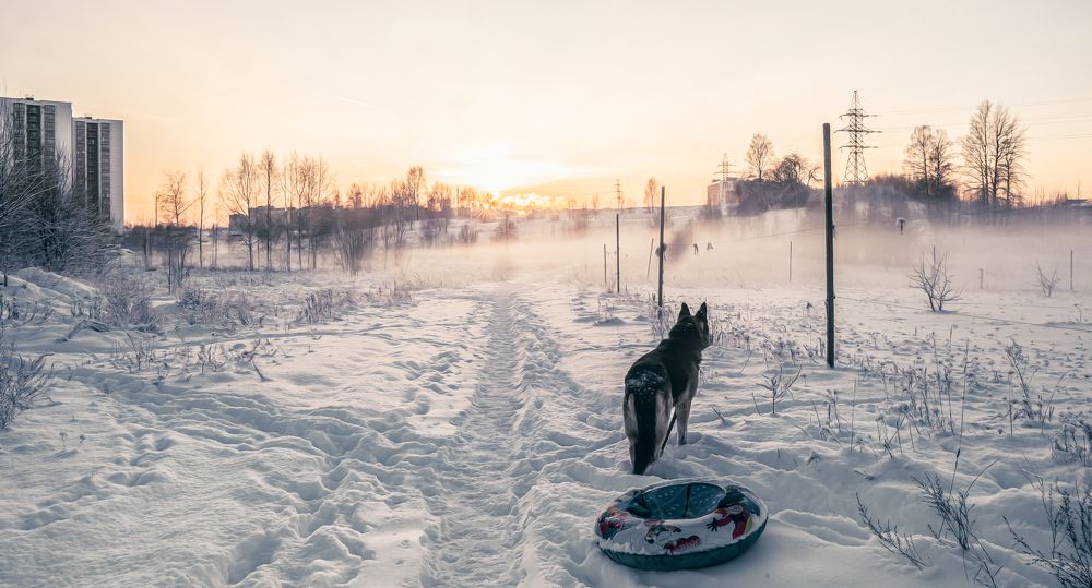 Photograph by Александра Щирова