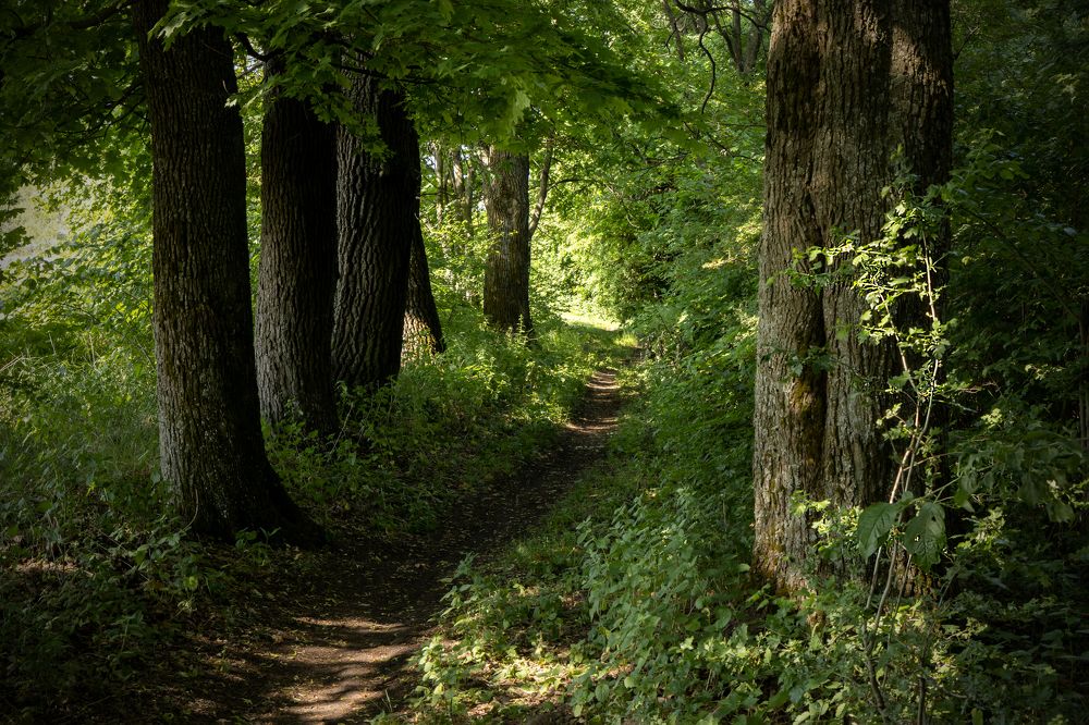 Photograph by Виктор Никоненко
