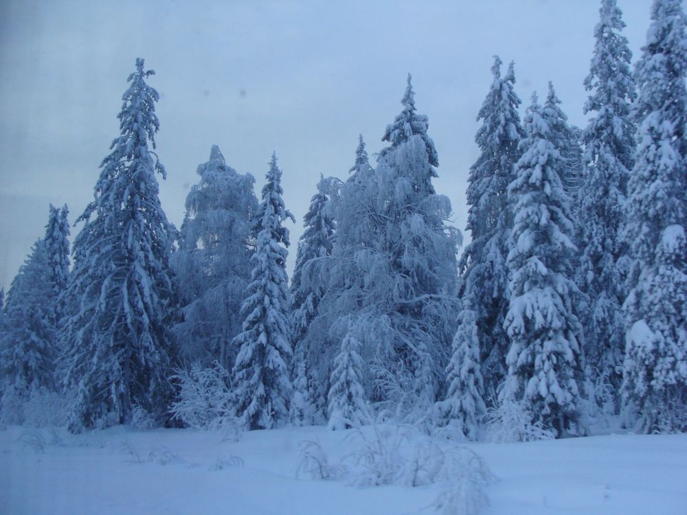 Photograph by Николай Худяков