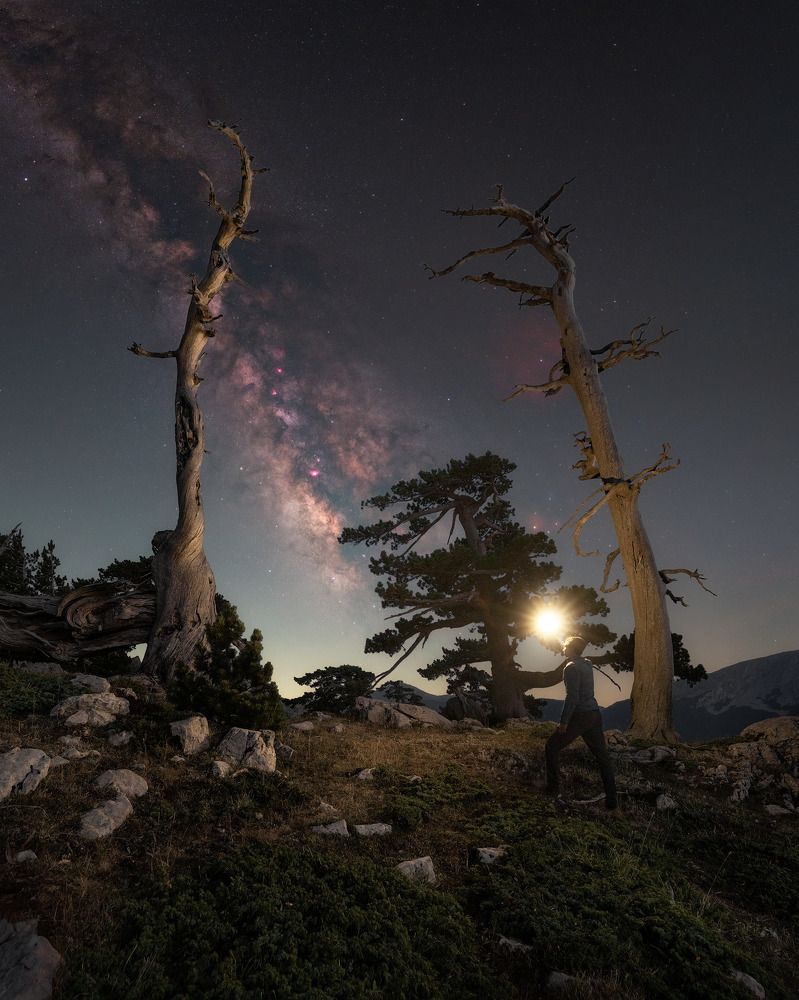 Photograph by Francesco Dimonte