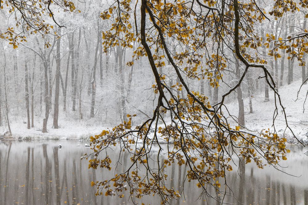 Photograph by Виктор Никоненко