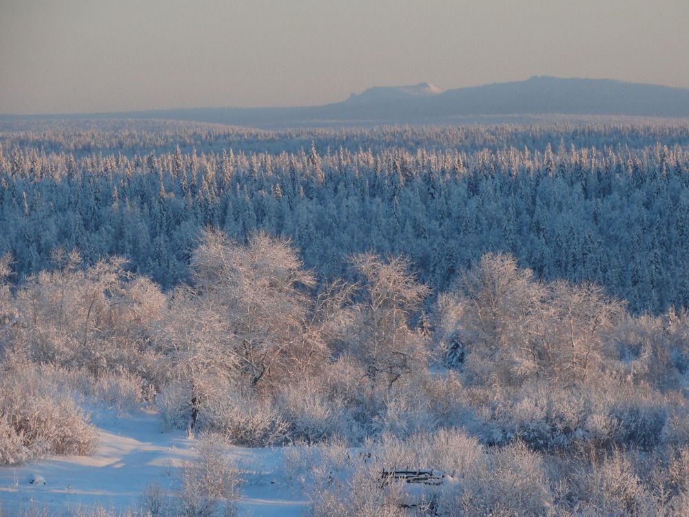 Photograph by Николай Худяков