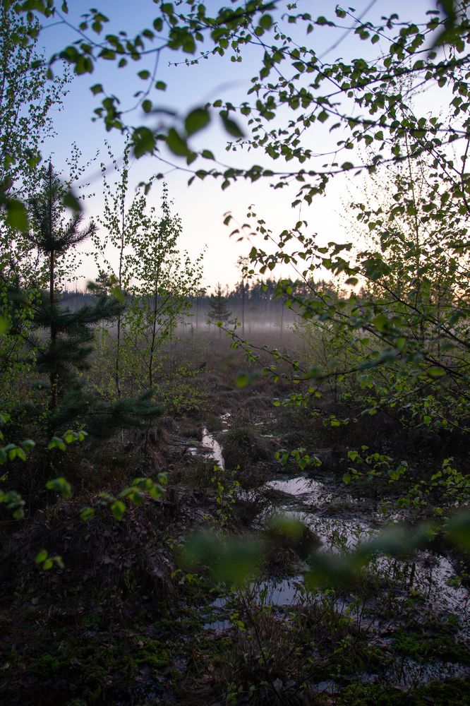 Photograph by Дарья Улюсова