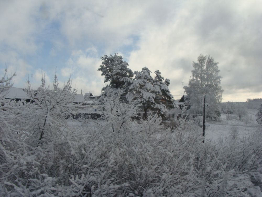 Photograph by Николай Худяков