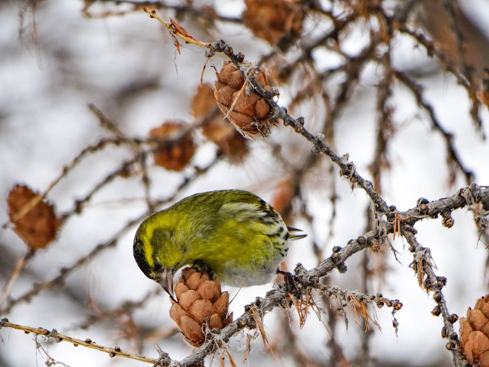 Photograph by Анжелика Трошина