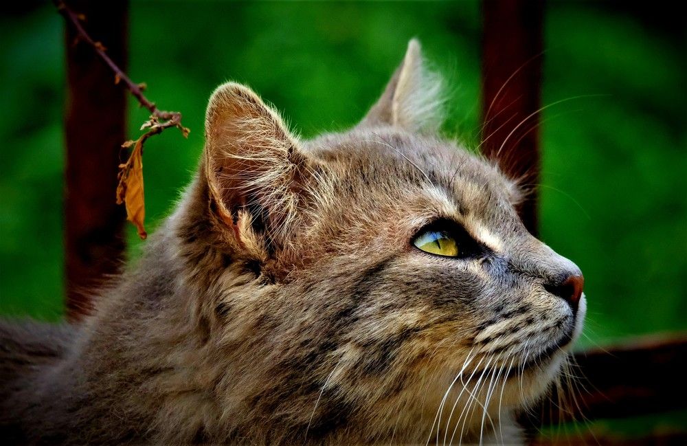 Photograph by Effie Zacharia