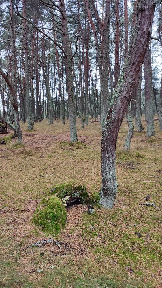 Photograph by Людмила Кузнецова