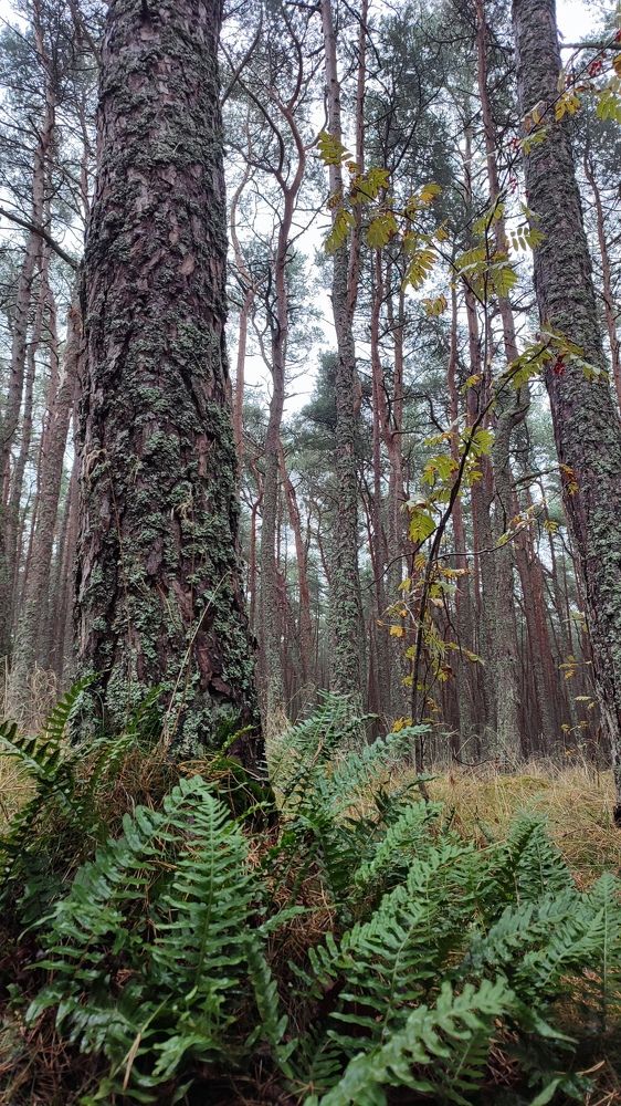 Photograph by Людмила Кузнецова