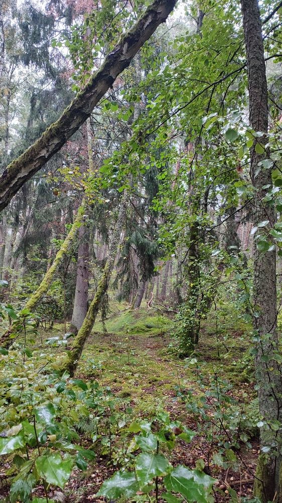 Photograph by Людмила Кузнецова