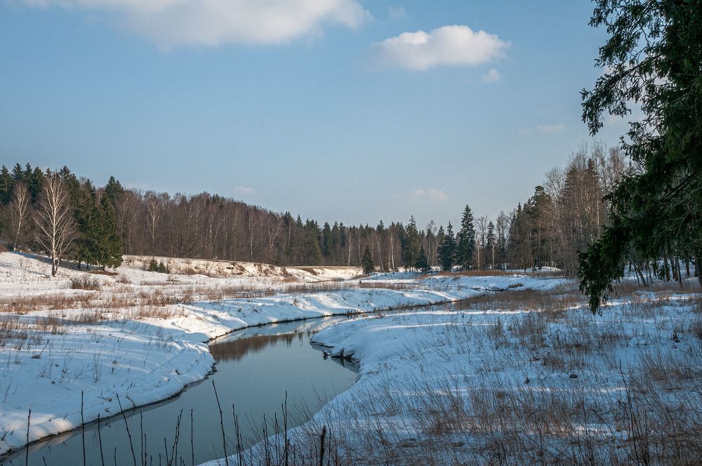 Photograph by Vladimir  Komarov
