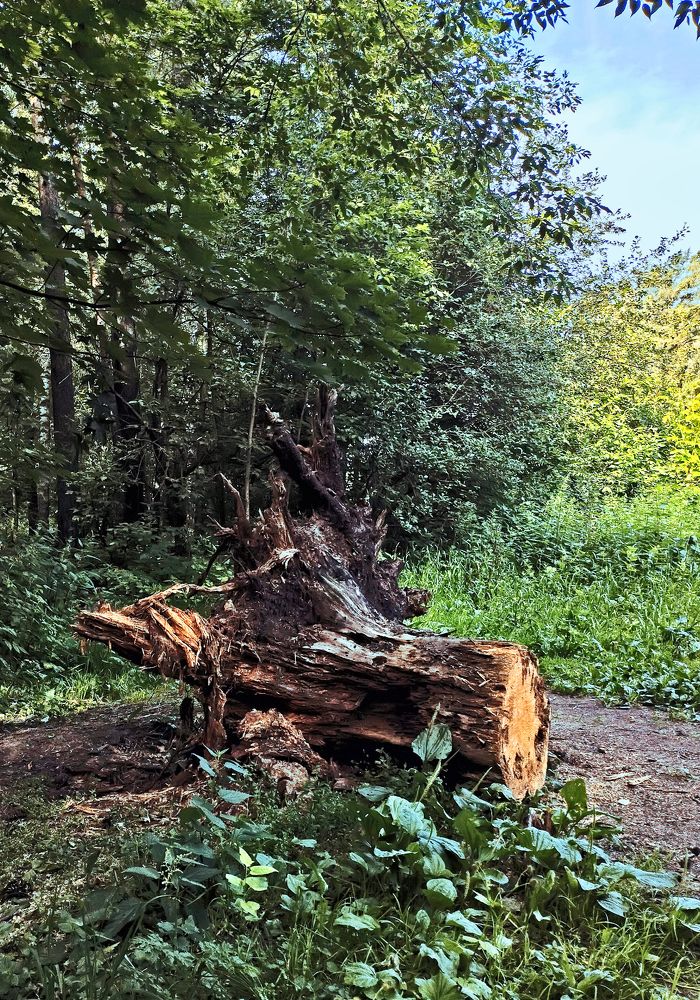 Photograph by Михаил Малец