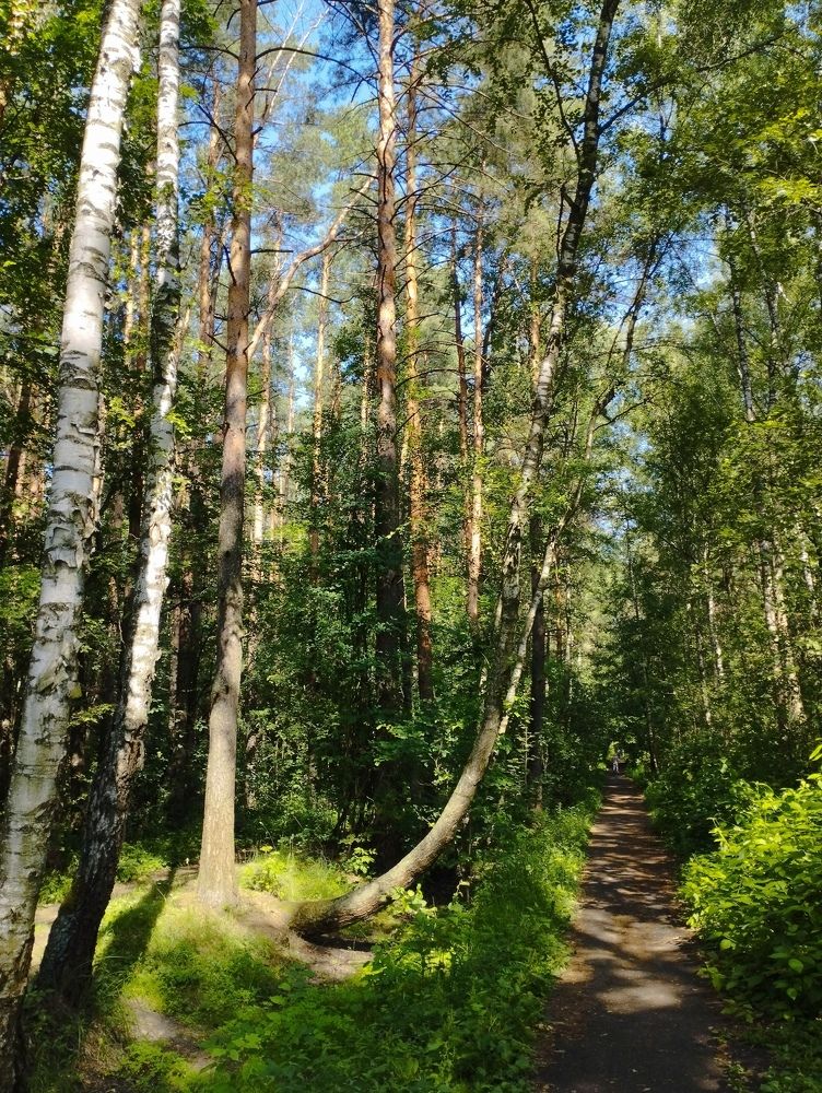 Photograph by Михаил Малец