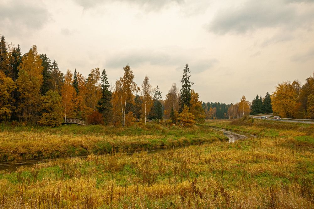Photograph by Vladimir  Komarov