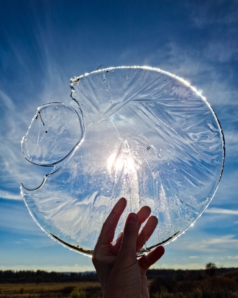 Photograph by Анастасия Гурова