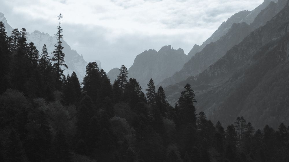 Фотография автора Дарья Чистякова