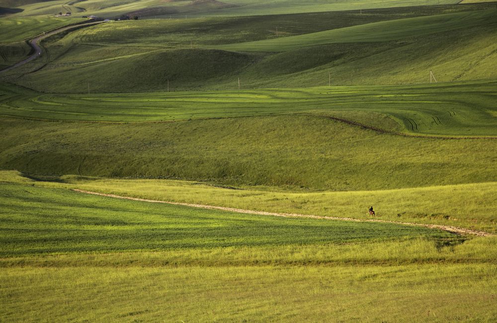 Photograph by Liya Yakovleva