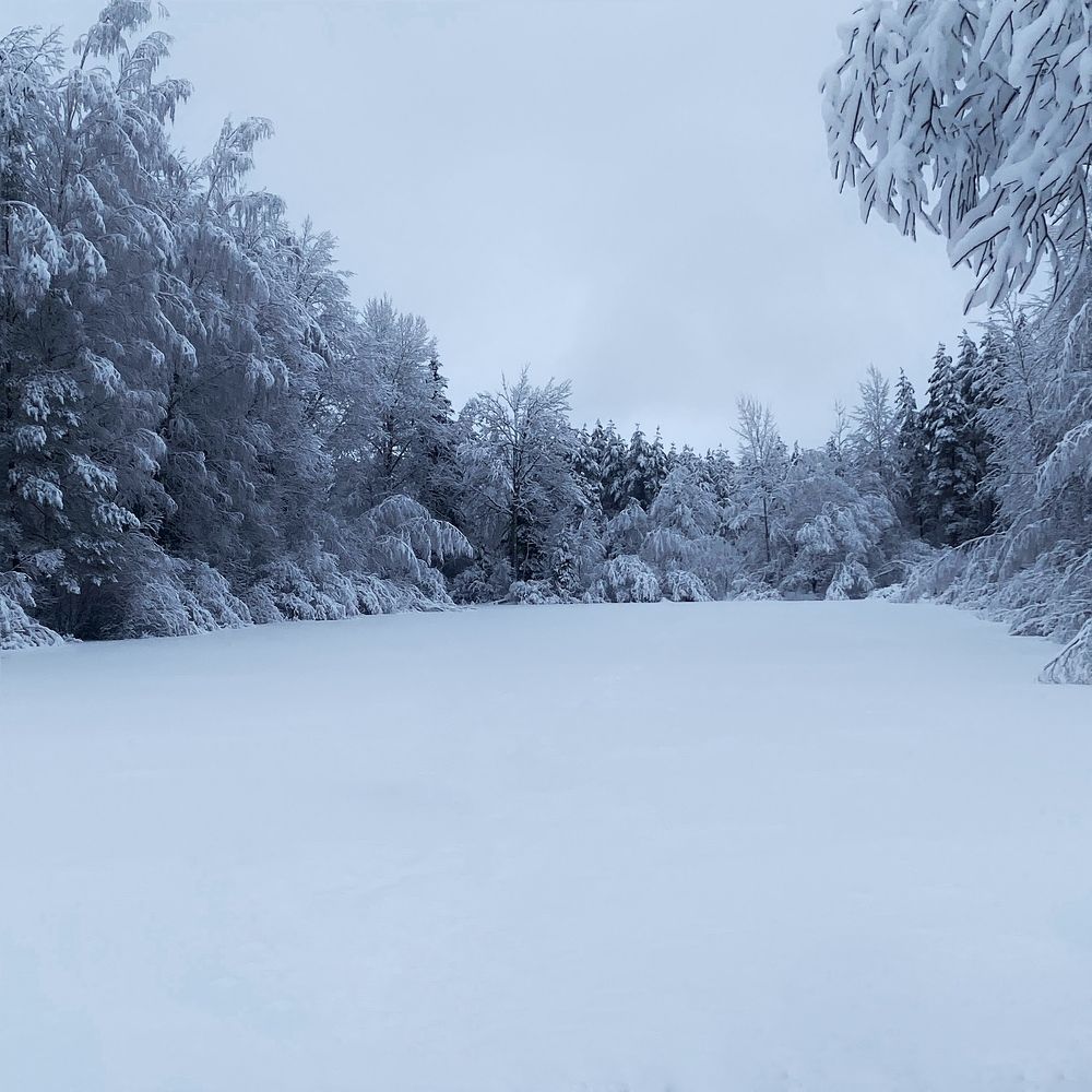 Photograph by Василина