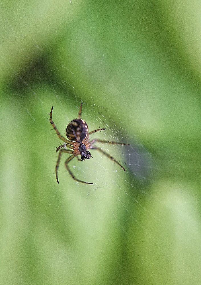 Photograph by Наталия Игоревна