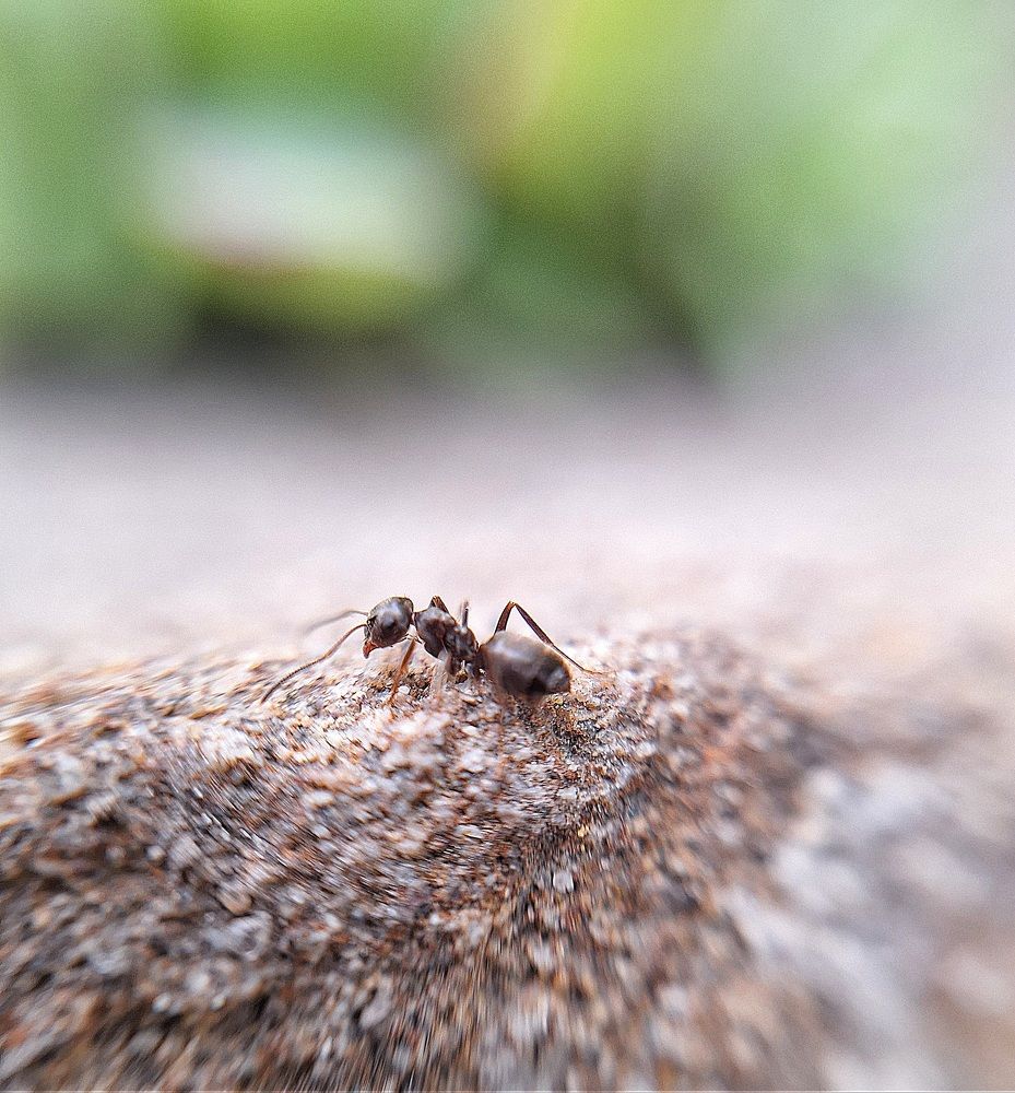 Photograph by Наталия Игоревна