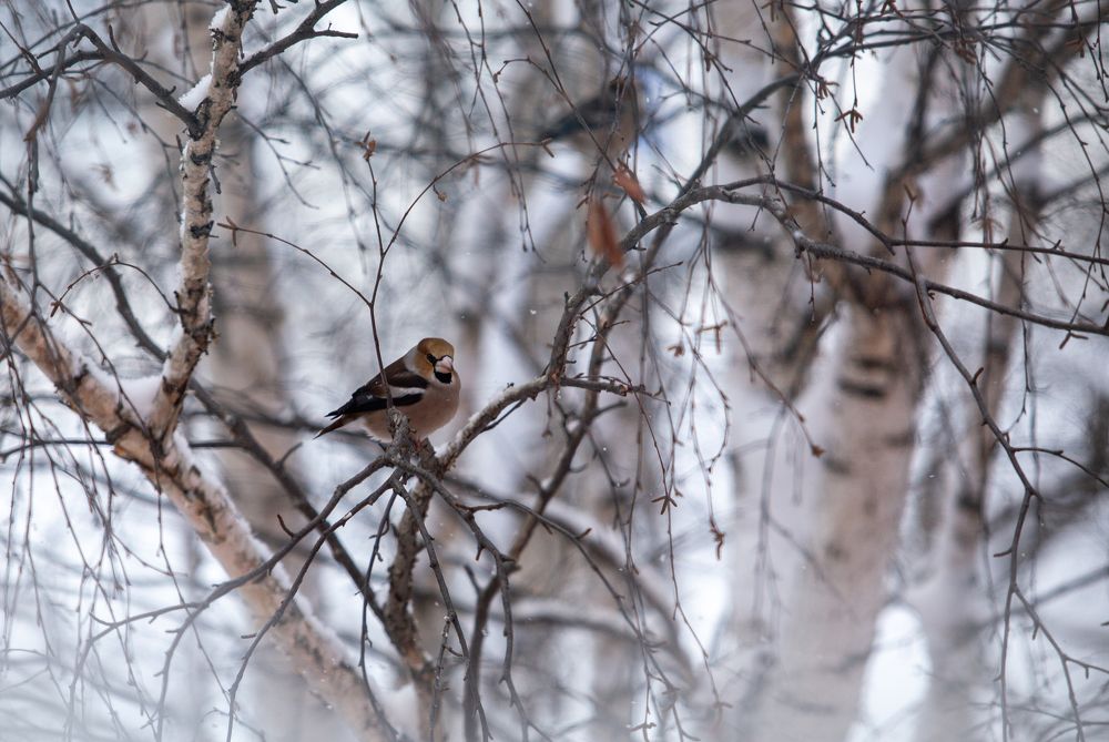 Photograph by Виталий Са