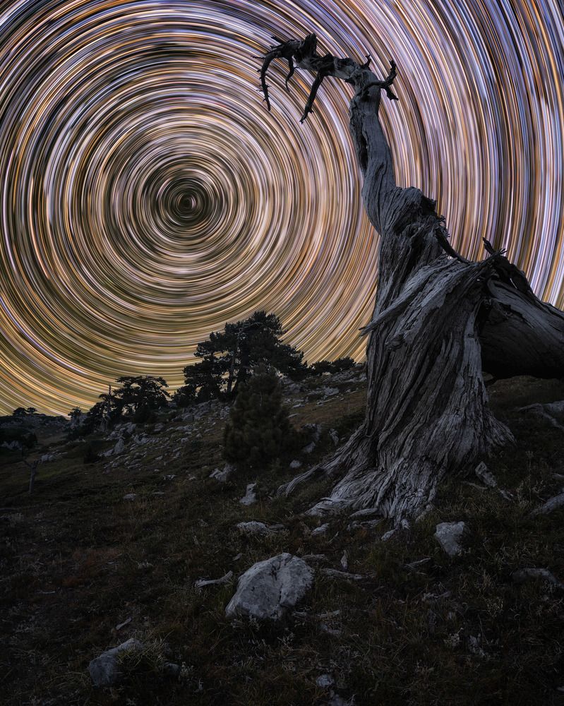 Photograph by Francesco Dimonte