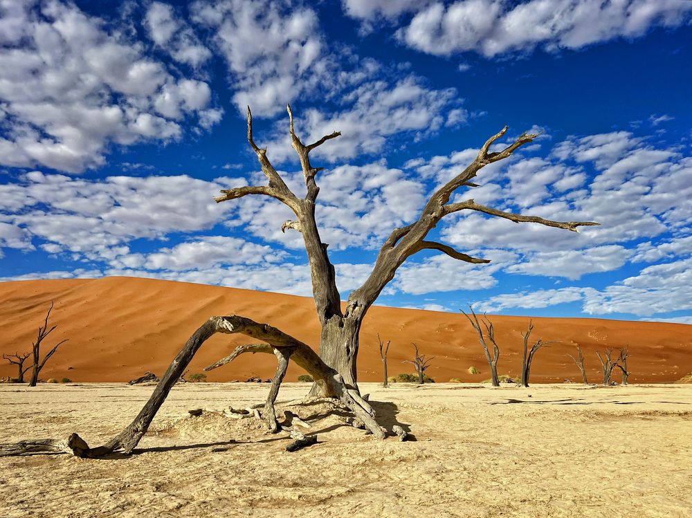 Photograph by Ирина Худзинская