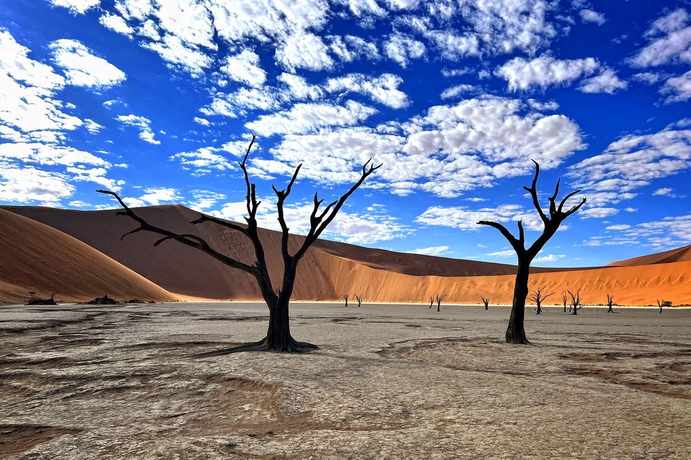 Photograph by Ирина Худзинская