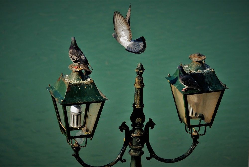 Photograph by Effie Zacharia